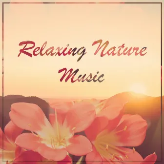 Relaxing Nature Music for Yoga, Sleep and Meditation by Mont Beach