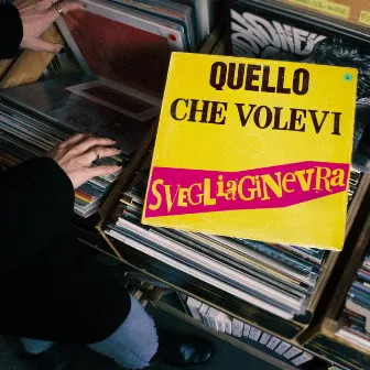 Quello che volevi by svegliaginevra