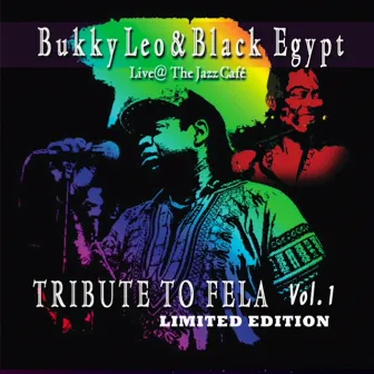 Tribute to Fela, Vol. 1 (Live at the Jazz Cafe) by Bukky Leo