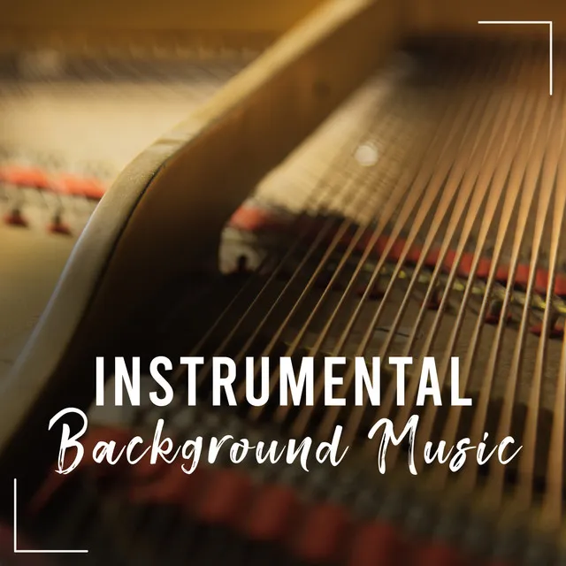 Background Music Specialists