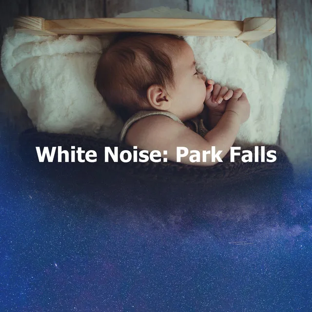 White Noise: Park Falls