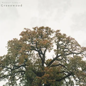 Greenwood by Between Silence