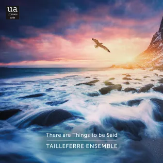 There are Things to be Said by Tailleferre Ensemble