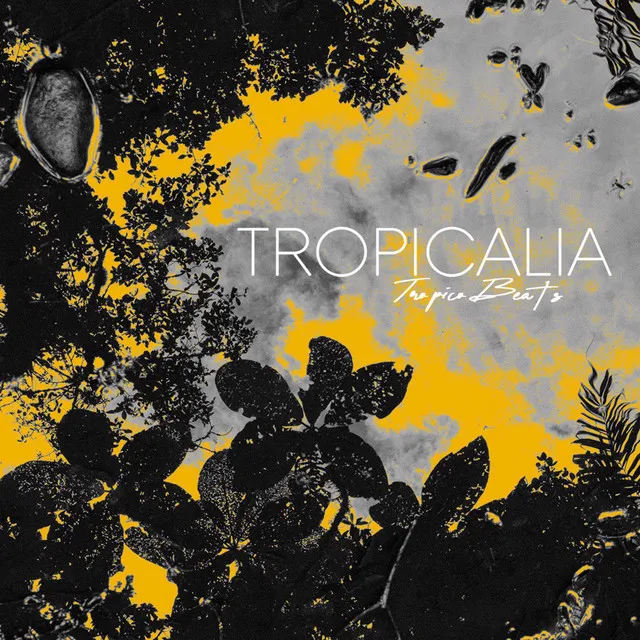 Tropicalia