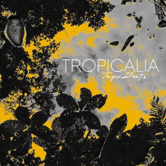 Tropicalia by Tropico Beats