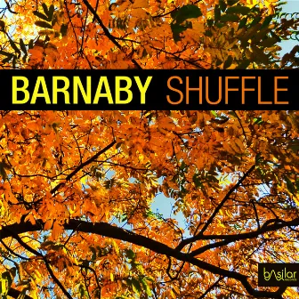 Shuffle by Barnaby