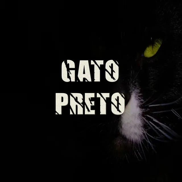 Gato Preto