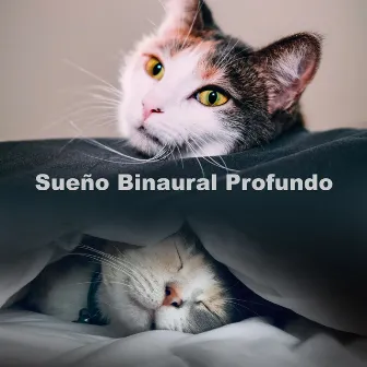 Sueño Binaural Profundo by Binaural Beats sueño profundo