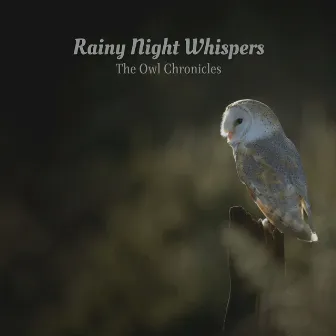 Rainy Night Whispers: The Owl Chronicles by Tibetan Bowls