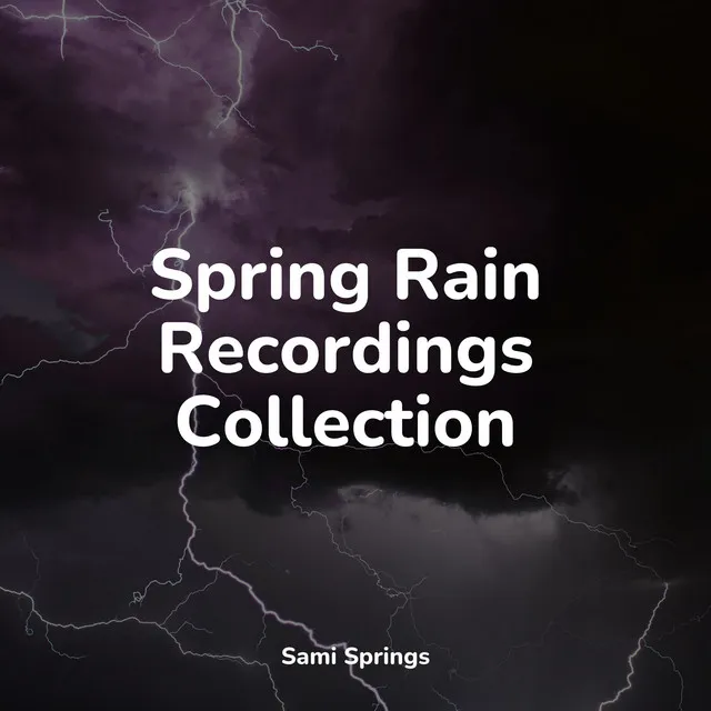 Spring Rain Recordings Collection