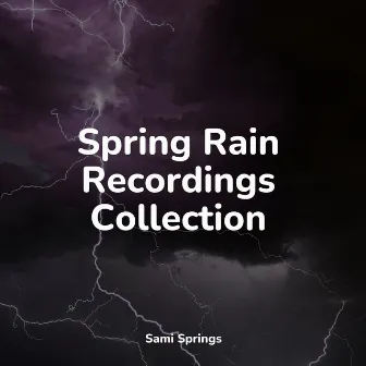 Spring Rain Recordings Collection by Meditation Zen