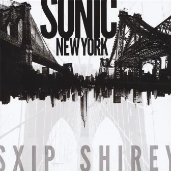 Sonic New York by Sxip Shirey