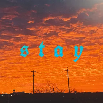 Stay by Tyler Fender