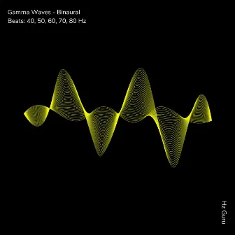 Gamma Waves - Binaural Beats: 40, 50, 60, 70, 80 Hz by Hz Guru