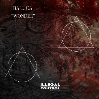 Wonder by Baluca