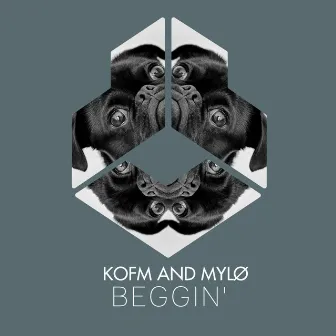 Beggin' by KOFM