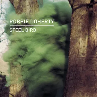 Steel Bird by Robbie Doherty