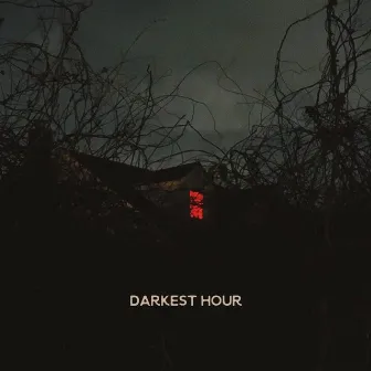 Darkest Hour by Tiffany Topol