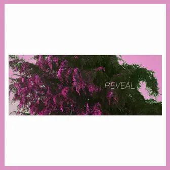 For Some Time by REVEAL