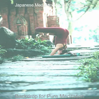 Backdrop for Pure Meditation by Japanese Meditation Music Classics