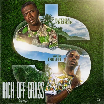 Rich Off Grass (Remix) by Unknown Artist