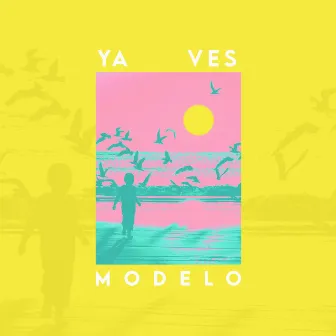 Ya ves by Modelo