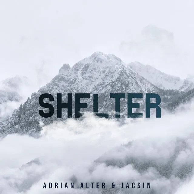 Shelter