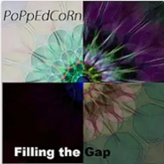 Filling the Gap by PoPpEdCoRn