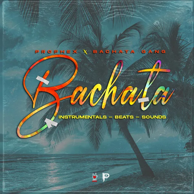 Bachata kitchen - Instrumental