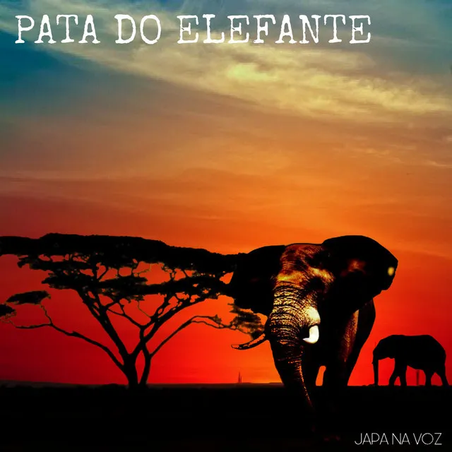 Pata do Elefante