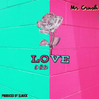 Love or Hate by Mr Crush