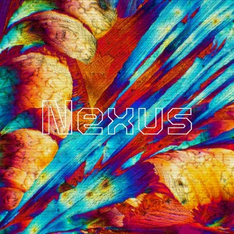 Nexus by KOMOREBI