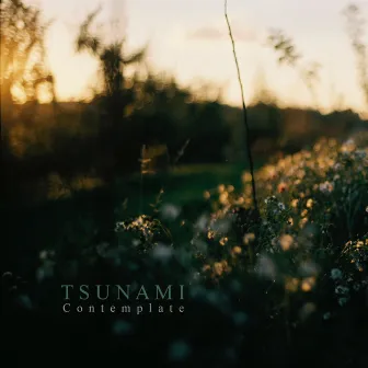 Contemplate by Tsunami