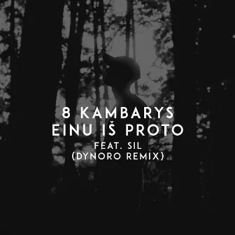 Einu Iš Proto (Dynoro Remix) by 8 Kambarys