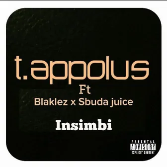 Insimbi by T.Appolus