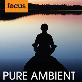 Pure Ambient by Joel Bevan