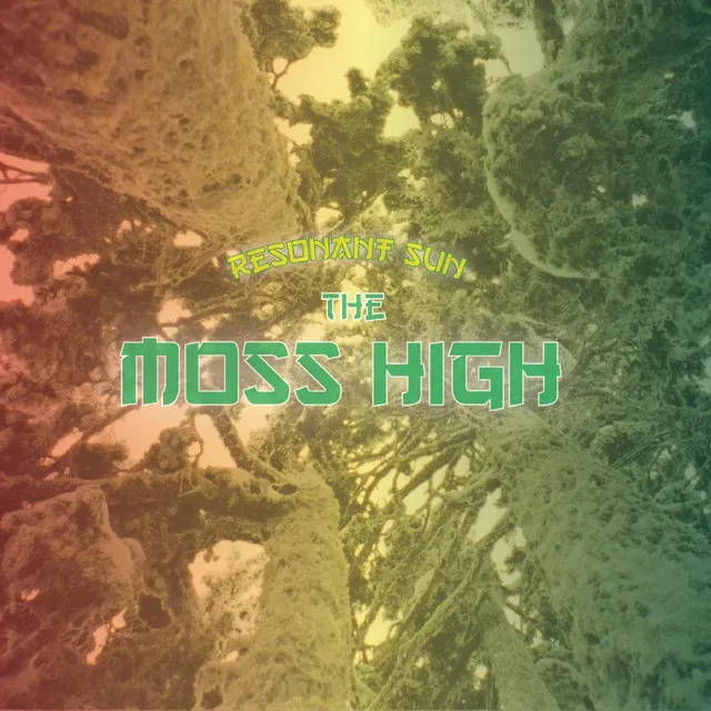 The Moss High