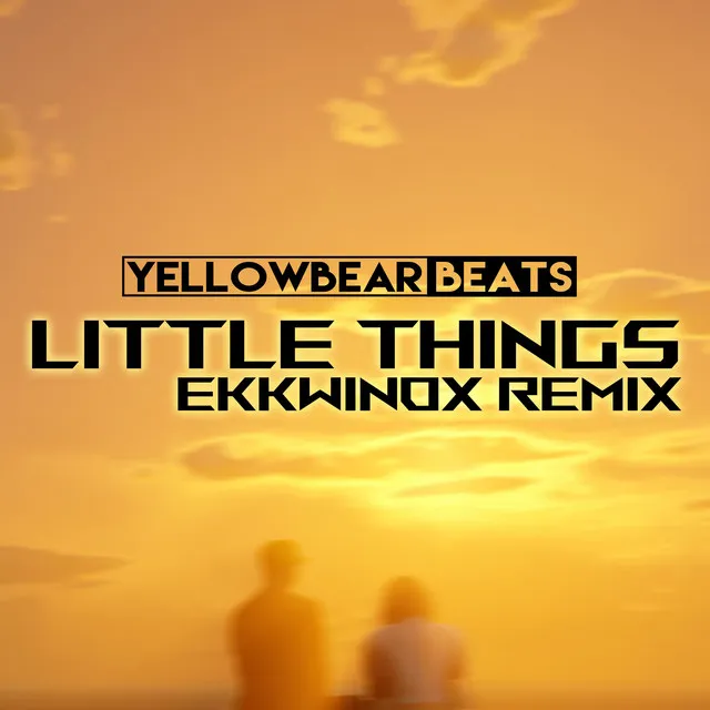 Little Things (Ekkwinox Remix)