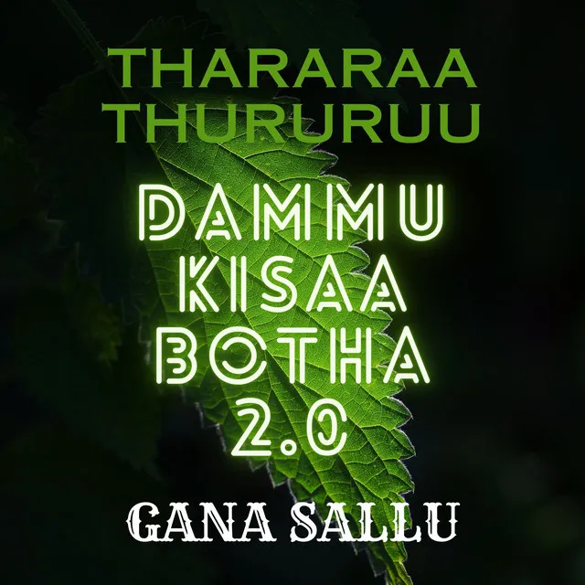 Thararaa Thururuu Dammu Kisaa Botha 2.0