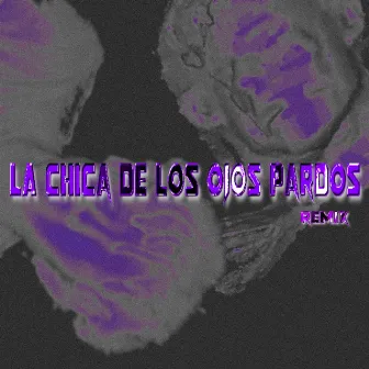 La Chica De Los Ojos Pardos (Remix) by Roxy<3