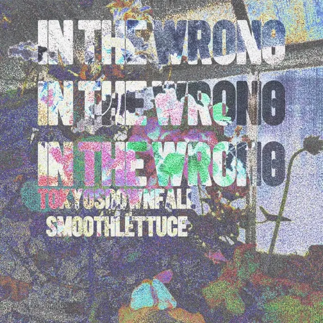 in the wrong