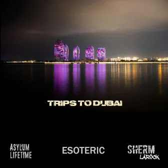 Trips to Dubai by Sherm Larock