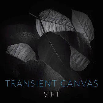 Sift by Transient Canvas