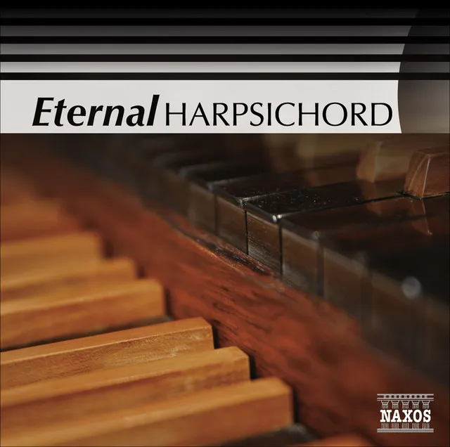 Concerto for 4 Harpsichords in A Minor, BWV 1065 (arr. of Vivaldi's, Concerto for 4 Violins in B Minor, Op. 3, No. 10, RV 580): I. Allegro