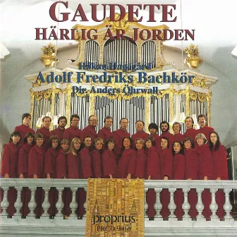 Gaudete - Härlig är Jorden by Anders Öhrwall