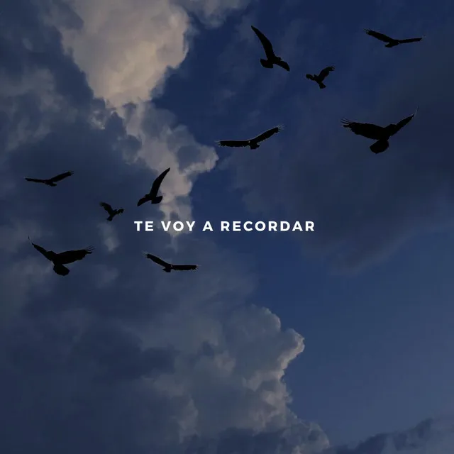 Te Voy A Recordar