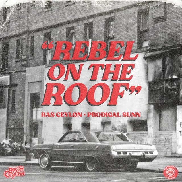 Rebel on the Roof