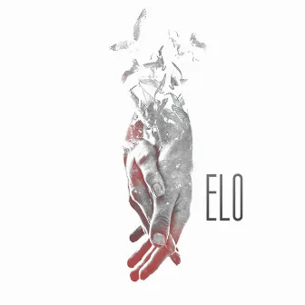 Elo by Verte