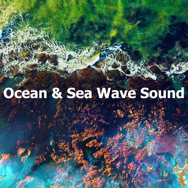 Ocean & Sea Wave Sound