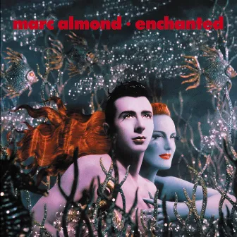 Enchanted (Expanded Edition) by Marc Almond